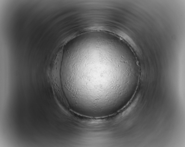 X0000088180849200705291950