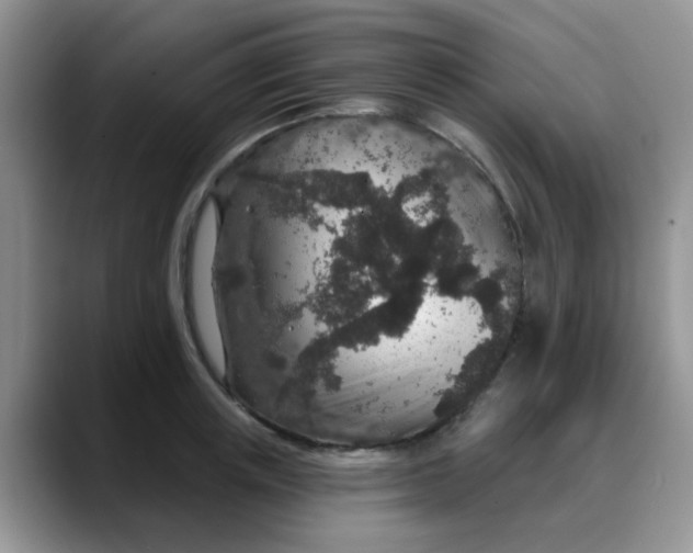 X0000088180851200705291950