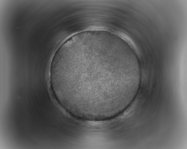 X0000088180852200705291950