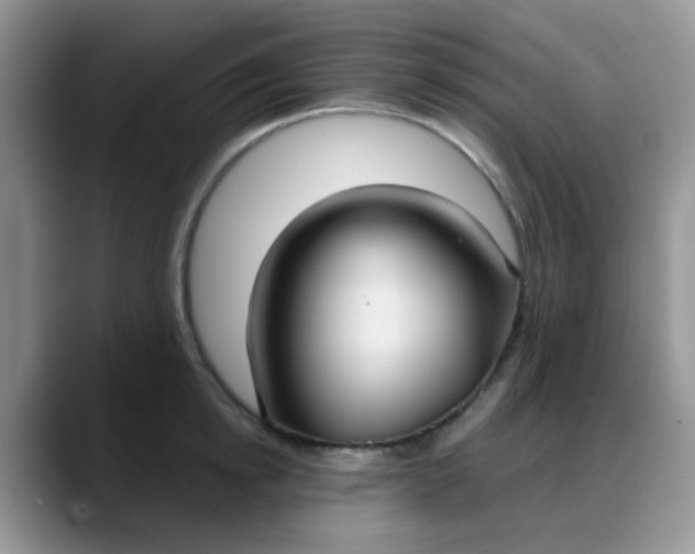 X0000088180854200705291950