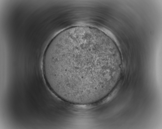 X0000088180855200705291950