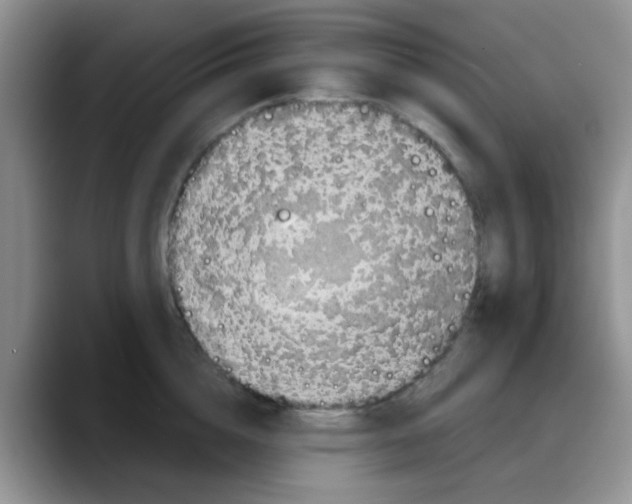 X0000088180856200705291950