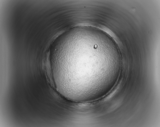 X0000088180857200705291950