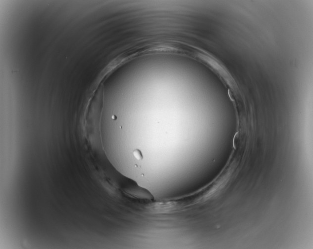 X0000088180858200705291950