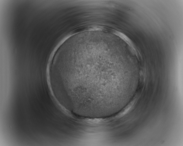 X0000088180859200705291950