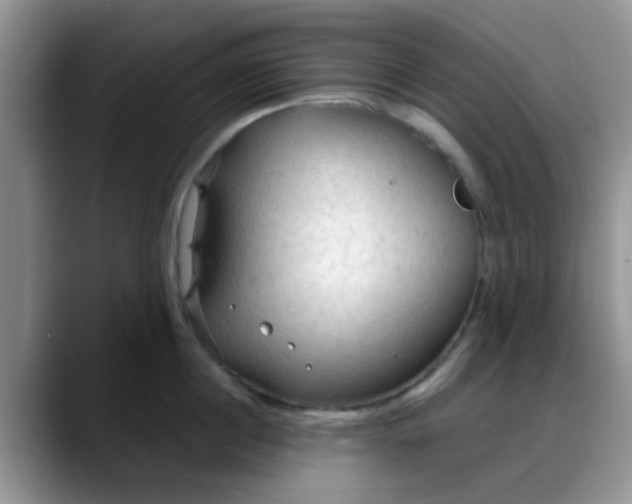 X0000088180860200705291950