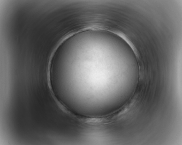 X0000088180861200705291950