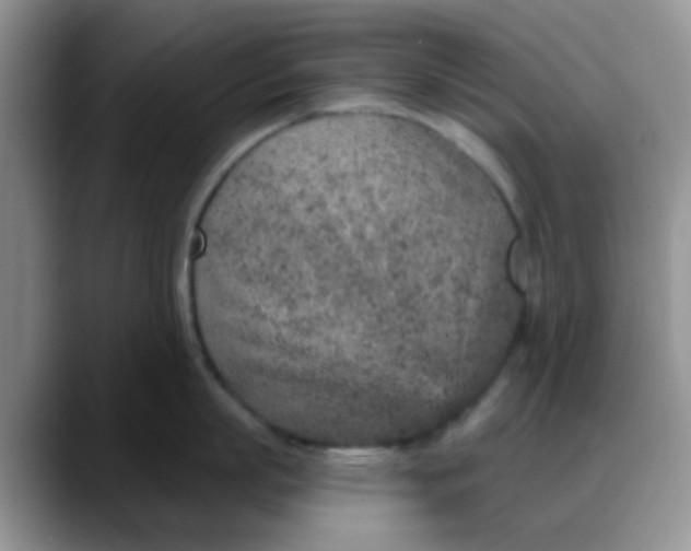 X0000088180863200705291950