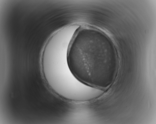 X0000088180864200705291950