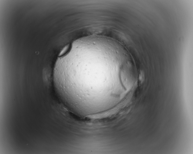 X0000088180867200705291950