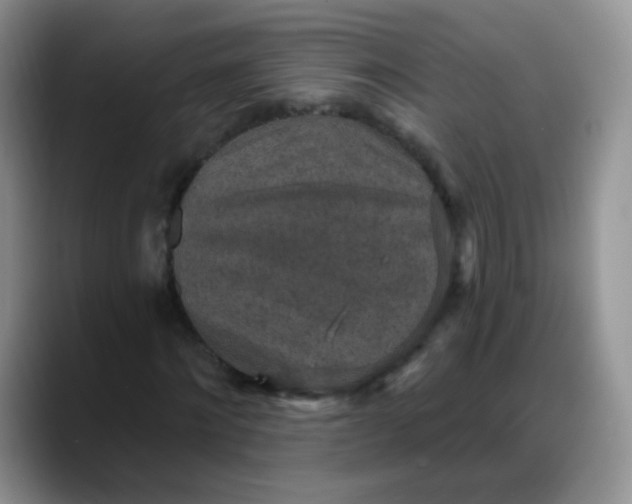 X0000088180868200705291950