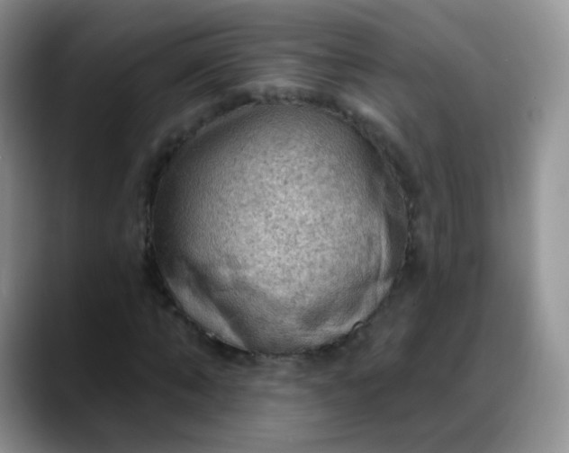 X0000088180870200705291950