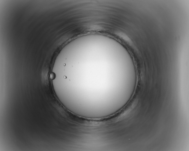 X0000088180873200705291950