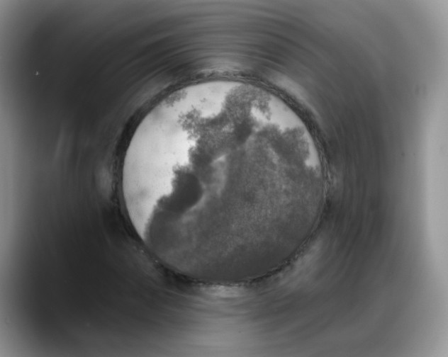 X0000088180874200705291950