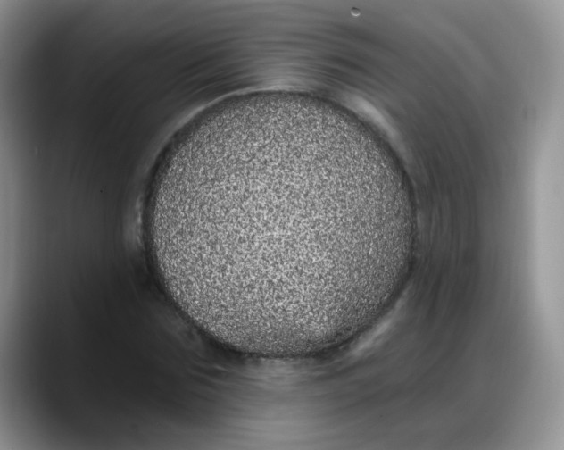 X0000088180875200705291950