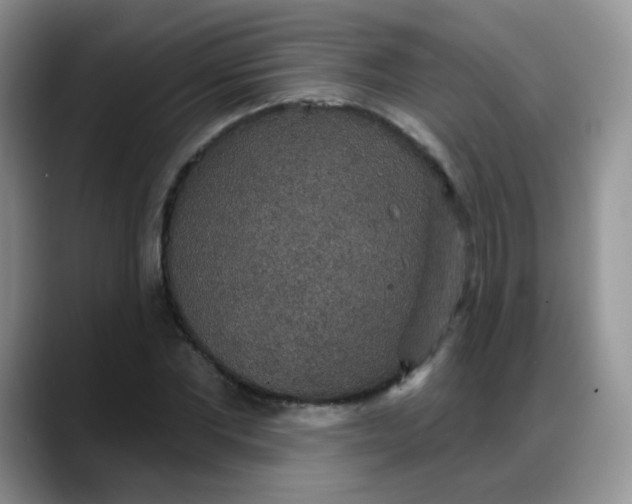 X0000088180877200705291950