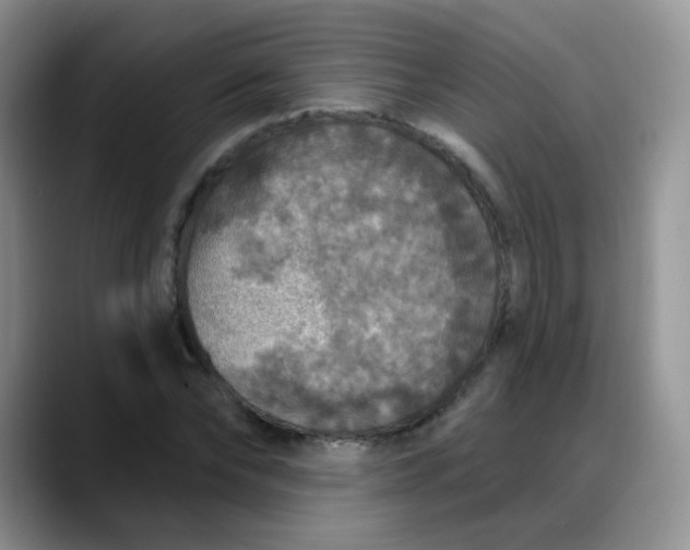 X0000088180878200705291950