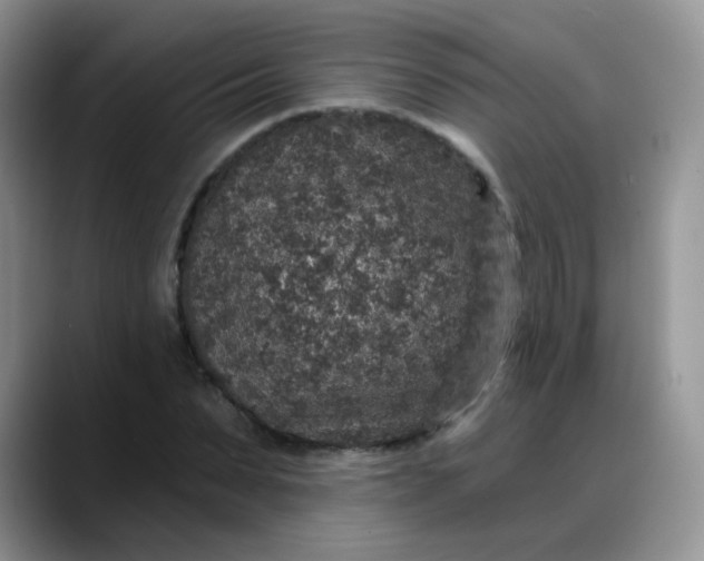 X0000088180879200705291950