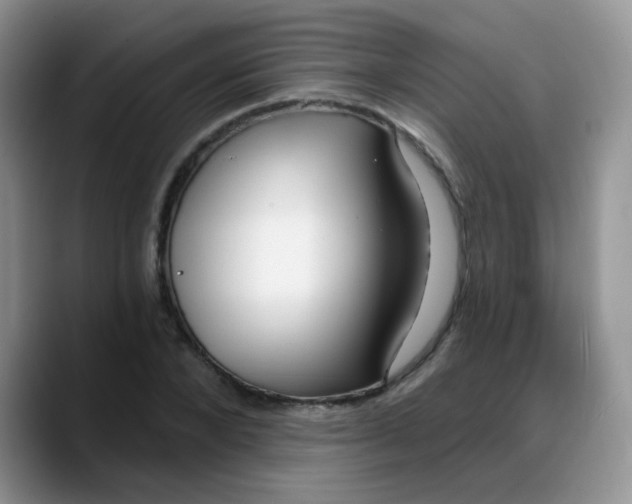 X0000088180880200705291950