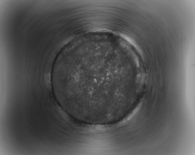 X0000088180881200705291950