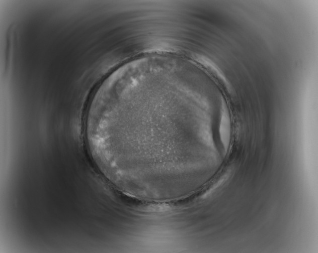 X0000088180882200705291950