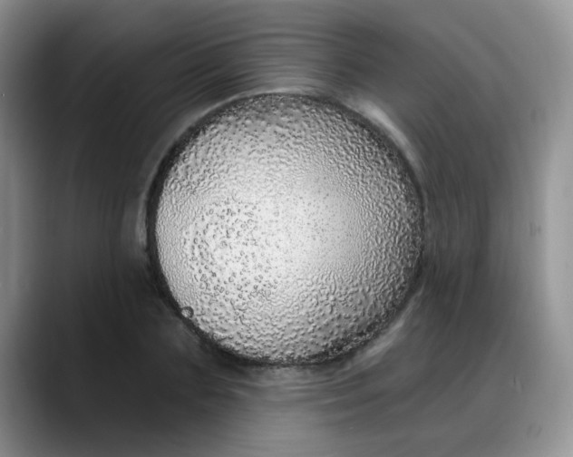 X0000088180883200705291950