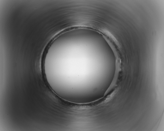 X0000088180884200705291950