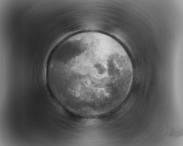 X0000088180886200705291949