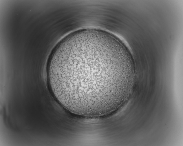 X0000088180887200705291949