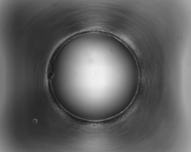 X0000088180888200705291949