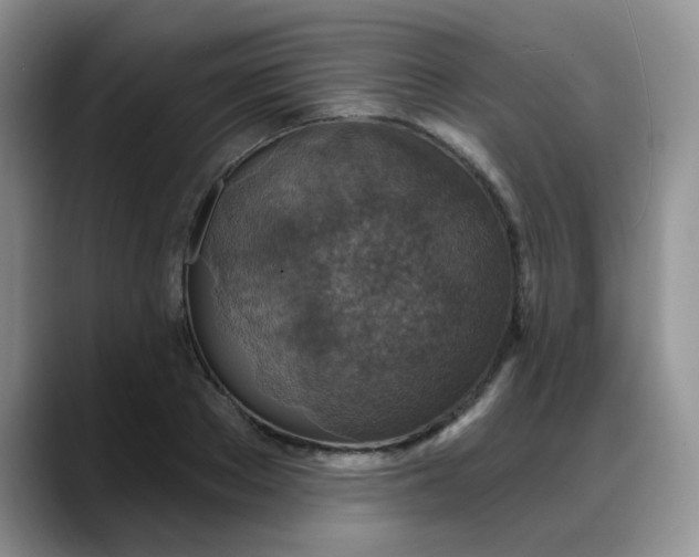 X0000088180889200705291949