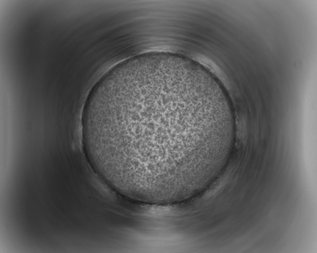 X0000088180890200705291949