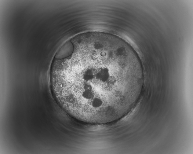 X0000088180891200705291949