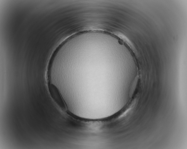 X0000088180893200705291949