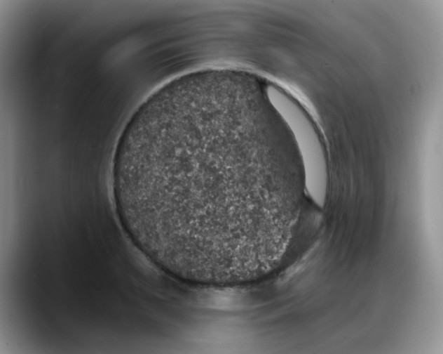 X0000088180895200705291949