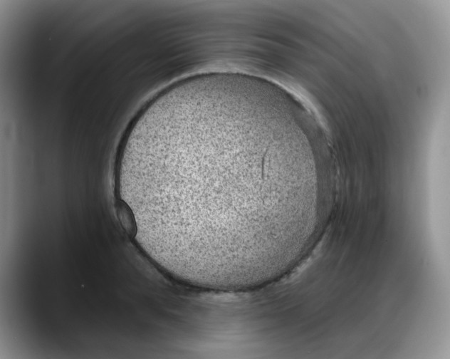 X0000088180896200705291949