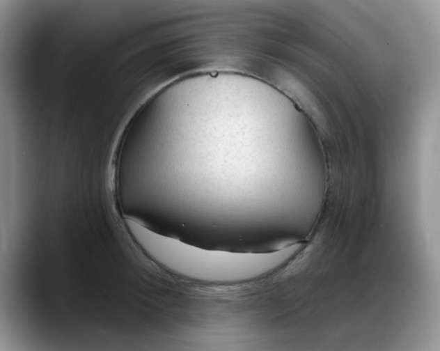 X0000088180900200705291949