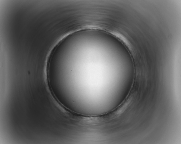 X0000088180902200705291949