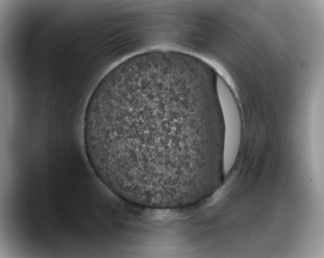 X0000088180903200705291949