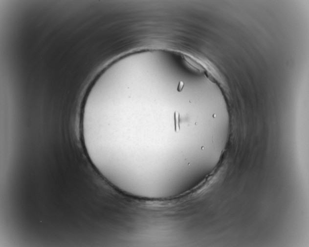 X0000088180904200705291949