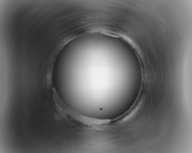 X0000088180905200705291949