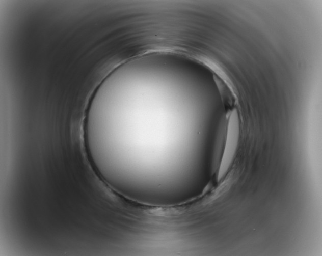 X0000088180906200705291949