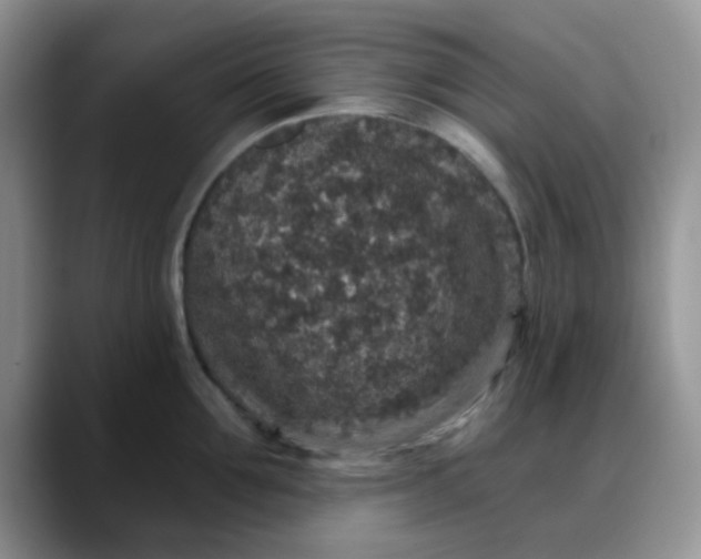 X0000088180907200705291949