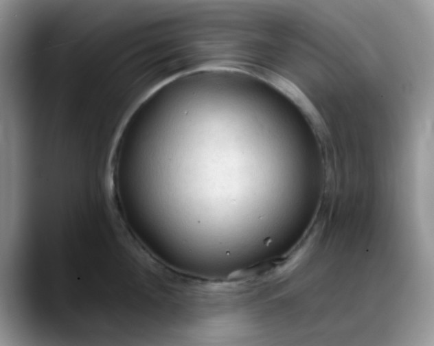 X0000088180908200705291949