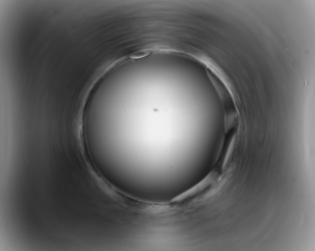 X0000088180909200705291949