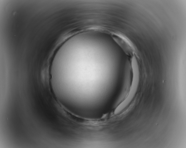 X0000088180910200705291949