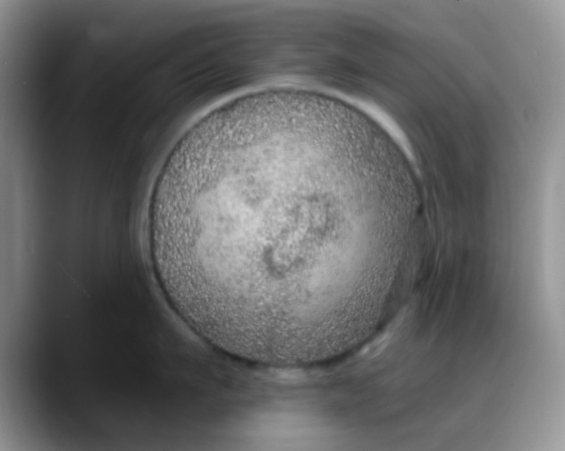 X0000088180911200705291949