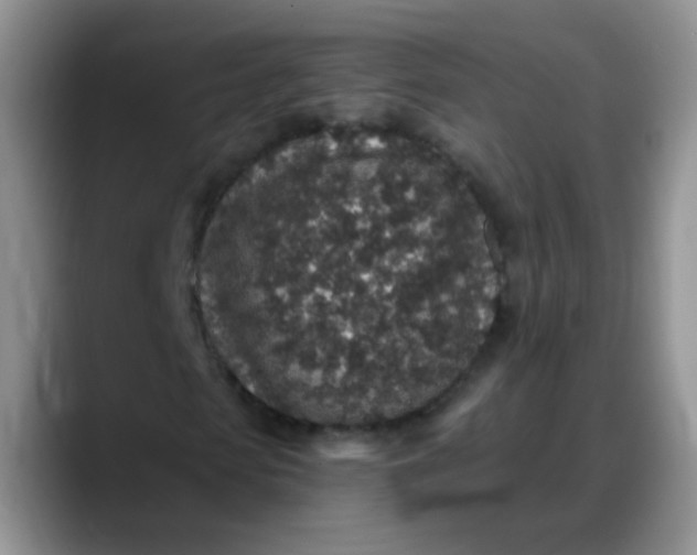 X0000088180913200705291949