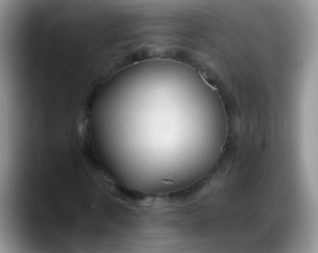 X0000088180914200705291949