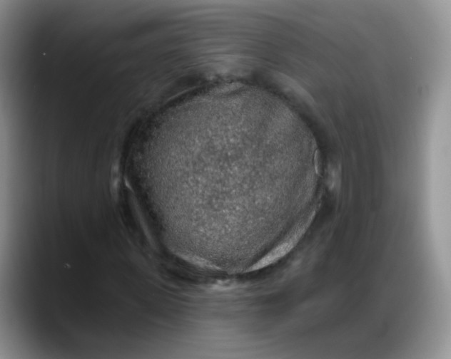 X0000088180915200705291949